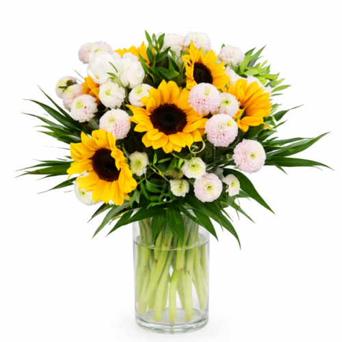 Girasoles y margaritas