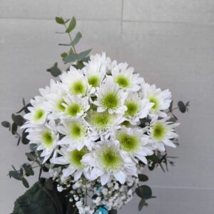 img_20260325_171213