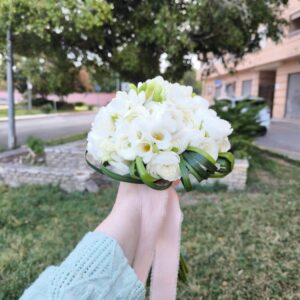 img_20260426_080554_1