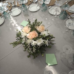 IMG_20260815_120221